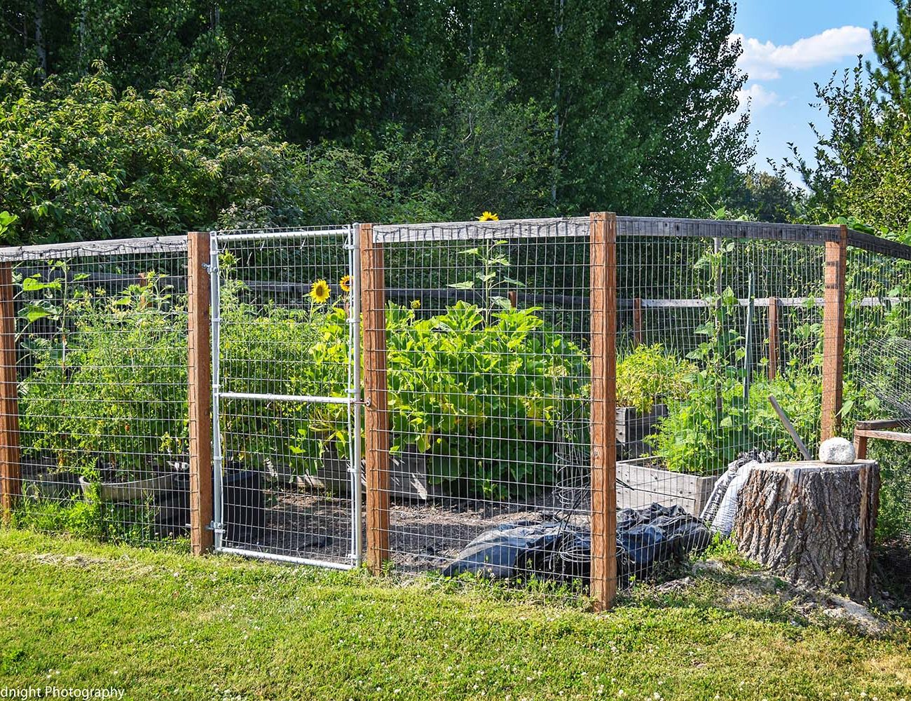 Kootenai Elementary Bonner County Gardeners Association
