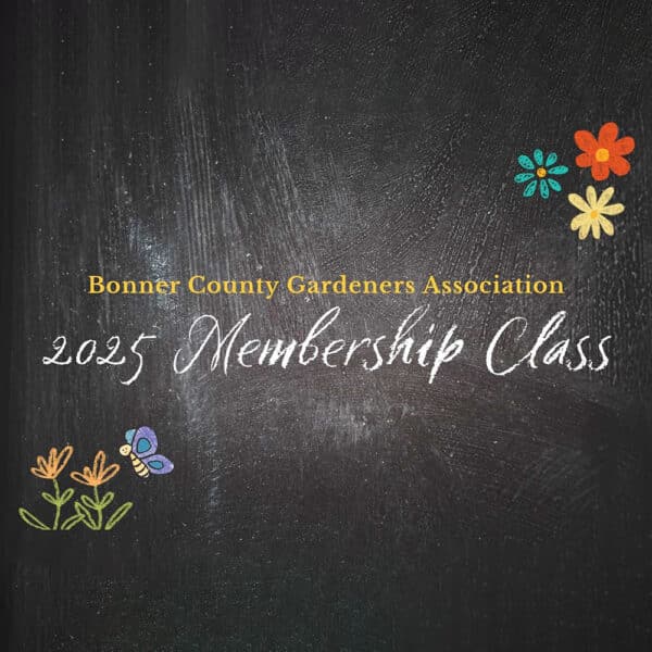 BCGA 2025 Membership Class