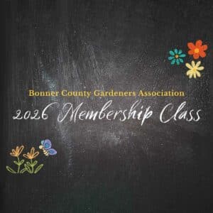 BCGA 2026 Membership Class
