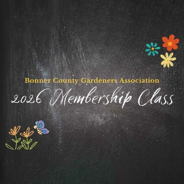 BCGA 2026 Membership Class